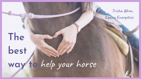 The Best Way To Help Your Horse | Trisha Wren, Equine Energetics